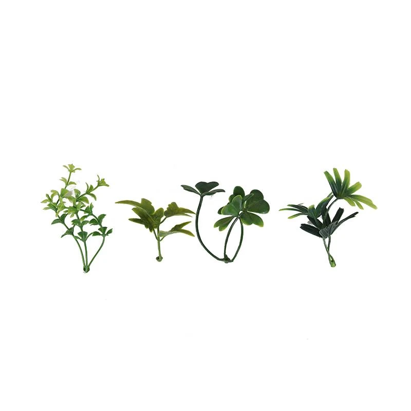 grass