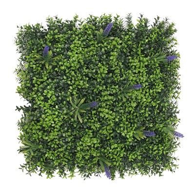 Boxwood Hedge/Panel/Mat Lawn