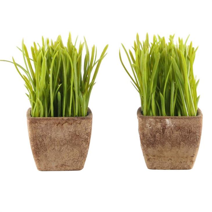 Tanaman Rumput Gandum Hijau Mini Buatan