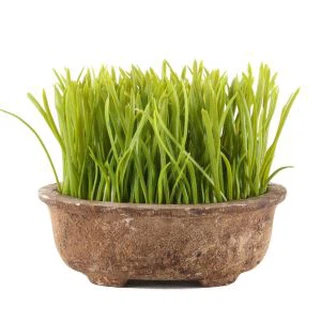 Pot Tanaman Luar Ruangan Pot Buatan