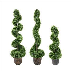 Pohon Spiral Unik Tiga Jenis