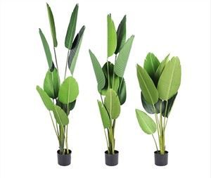 Pohon Pisang Plastik Plastik